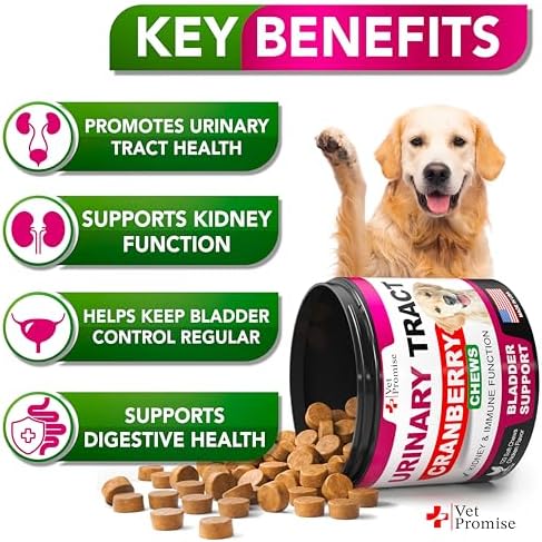 Dog UTI Chews - Cranberry Supplement for Dogs - Urinary Tract Support | Advanced Bladder Control - Cranberry Support Supplement, Vitamins Multivitamin Chews - 120 Chews - Made in USA