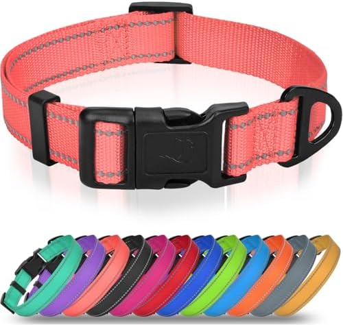 Joytale Feather-Light Dog Collar for Medium & Large Dogs, 1", Neon Pink