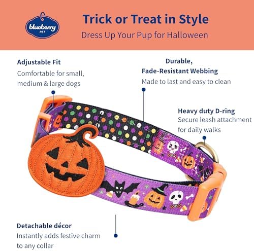 Blueberry Pet Halloween Pumpkin Party Designer Adjustable Dog Collar with Detachable Decoration, Small, Neck 12"-16"