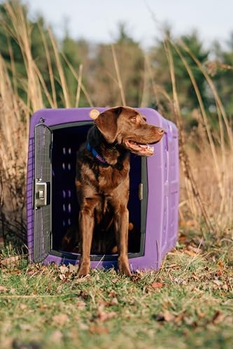 dakota283 G3 Framed Door Kennel - Medium - Purple