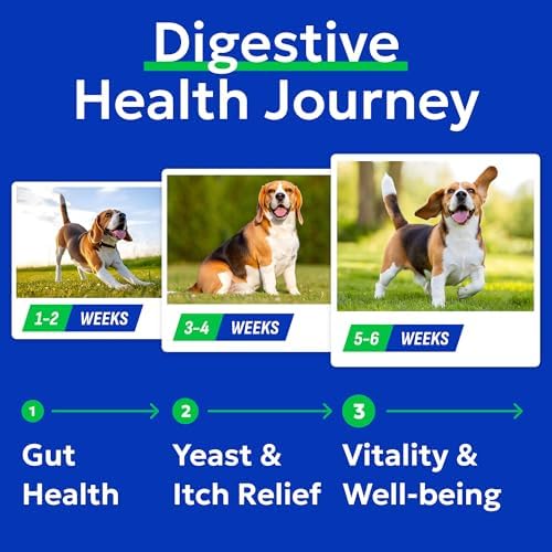 Bark&Spark Vet Strength Dog Probiotics Chews - 60 Billion CFU per jar - Digestive Enzymes for Dogs Gut Health - Chewable Supplement for Diarrhea, Gas, Constipation, Upset Stomach Relief (120 Ct)