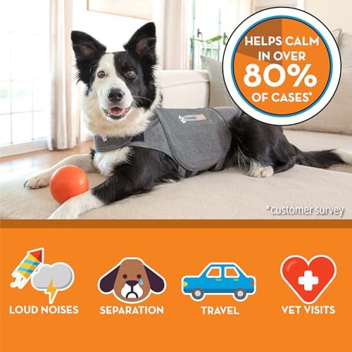 ThunderShirt for Dogs Calming Anxiety Vest, XS, Small, Gray