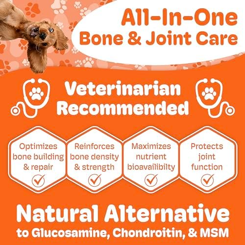 Boneo Canine Lactoferrin for Dogs, Bone & Joint Supplement for Dogs, Lactoferrin Dog Chews for Bone Strength, Joint Health, Mobility & Dental Support, Liver & Sausage Flavor, 90 Ct Dual Pack