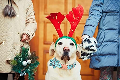 Lionet Paws Christmas Dog Collar with Flower, Dog Flower Collar with Metal Buckle for Dogs, Adjustable Comfortable Dog Collar Girl Gift, M, Neck 13.5-22 in