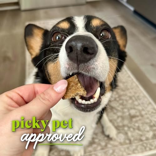 Honest to Goodness Protein Bites Chicken & Pea Dog Jerky, 5.5 oz