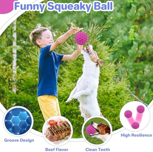 DISSKNIC Indestructible Squeaky Dog Balls, Dog Toys for Aggressive Chewers Large Breed for Relieving Anxiety, Tough Dog Chew Toys Balls for Aggressive Chewers, Outdoor Squeaky Cognitive Dog Toys
