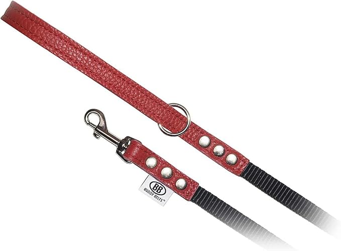 BUDDY BELT Pebble Grain Accent Leather Nylon Leash Red - Premium Edition (3/4" x 4')