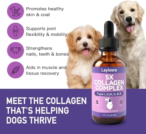 5X Liquid Collagen for Dogs–Joint Pain Relief Mobility Support for Senior Dogs, Active Breeds, Post-Walk Soreness– Odorless Liquid Drops, No Powders or Pills–Helps with Stiffness, Limping, Getting Up