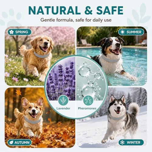 Calming Collar for Dogs, 6-Pack, 25 Inch, Grey
