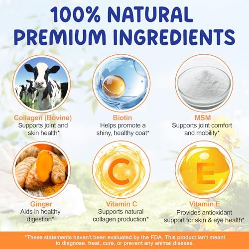 Liquid Collagen Supplement for Dogs – with Biotin, MSM & Ginger – Supports Joint Health, Skin & Coat, Digestion & Immunity – 2 fl oz (60 ml)
