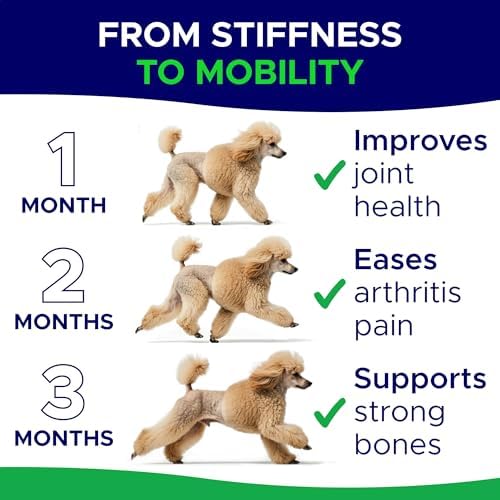 Glucosamine for Dogs Hip & Joint Supplement - Chondroitin, Omega-3, MSM - Joint Health & Pain Relief - Senior & Large Dogs - Made in USA - 120 Mobility Chews