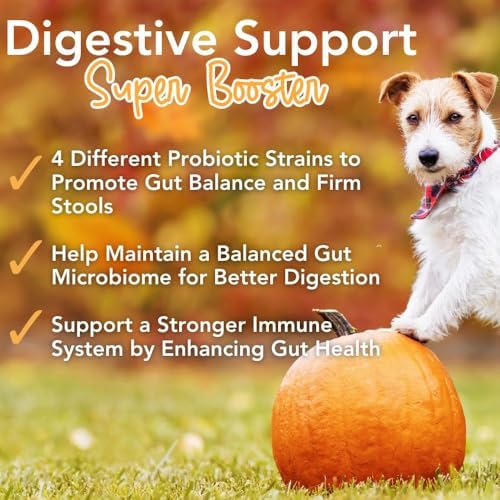 iHeartDogs Pupkin Probiotics, Prebiotics & Fiber for Dogs with Pumpkin
