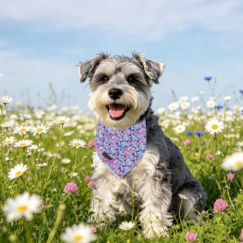 Lionet Paws Spring Summer Oxalis Dog Bandana Washable Cotton Handkerchief Scarf Triangle Blue Flower, Large (Pack of 1), Medium, Blue