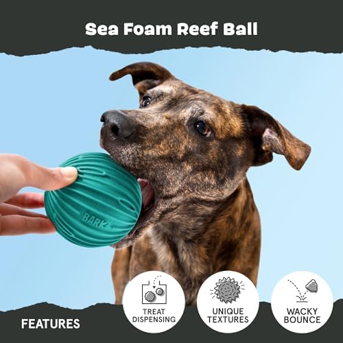 BarkBox Sea Foam Reef Ball Treat Dispensing Toy for Large Dogs, Perfect for Fun-Filled Stimulation and Interactive Playtime | Perfect for Fun-Filled Stimulation and Interactive Playtime