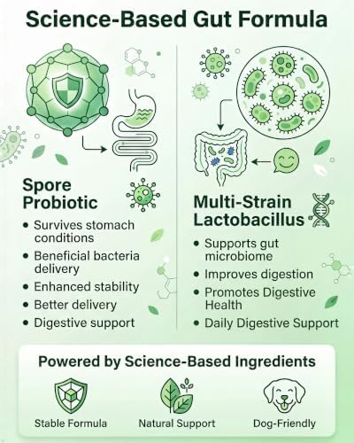 Probiotics for Dogs: Dog Probiotic Soft Chews with Spore Probiotic, 120ct