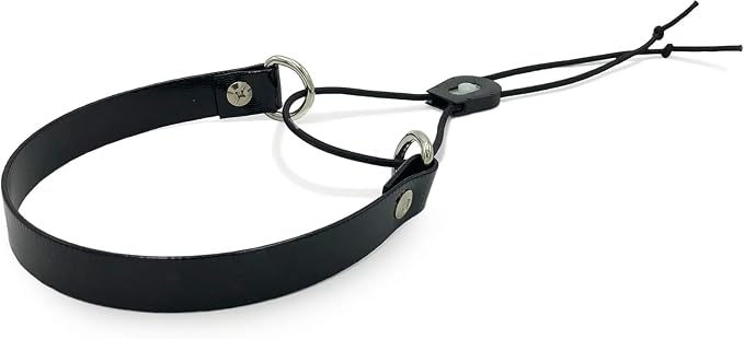 Replacement GPS eCollar with Adjustable Bungee, Multi-Hole Design, and Secure Toggle Closure for Small Dogs (Black, Small Neck)
