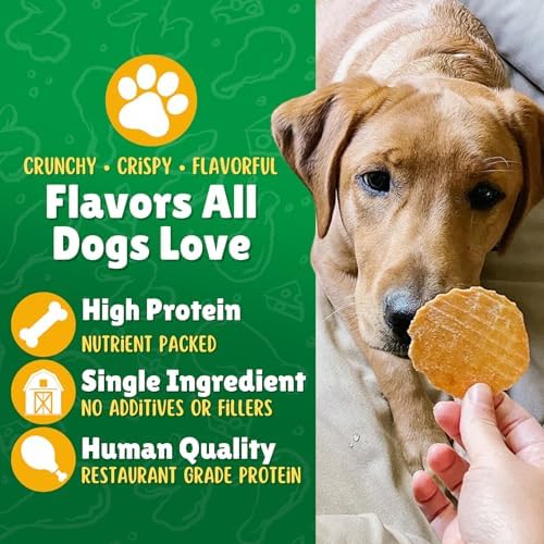 Lucky Premium Treats Lucky Chips Chicken Jerky Dog Treats - Made in USA, All Natural Chicken Jerky, Grain-Free, High Protein, Single Ingredient Dog Treats - 3 oz Bag