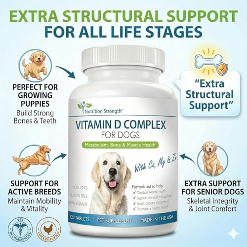 Vitamin D for Dogs | for Strong Bones, Teeth & Joints