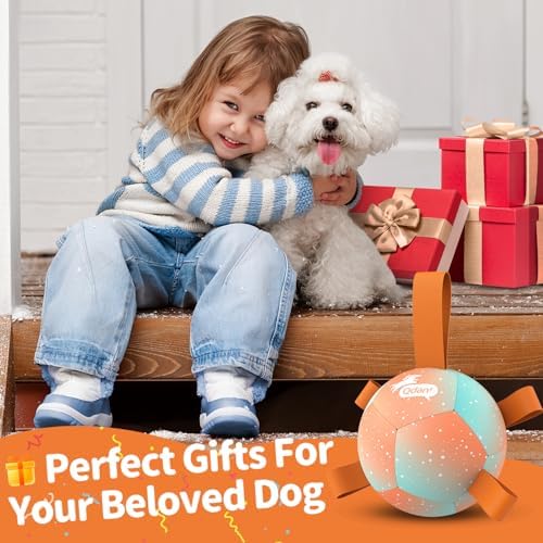 QDAN Small Puppy Dog Balls Toys, Dog Soccer Ball with Straps, 5 Inch | Interactive Toys for Tug of War, Premium Pet Training Ball, Puppy Birthday Gifts for Small Dogs, Gradient Orange