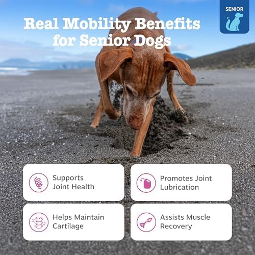 Zesty Paws Mobility Bites Joint Supplement for Dogs - Soft Chews with Glucosamine for Dogs, Chondroitin, & MSM + Vitamins C and E - Adv Chicken - 90 Count (Pack of 2)