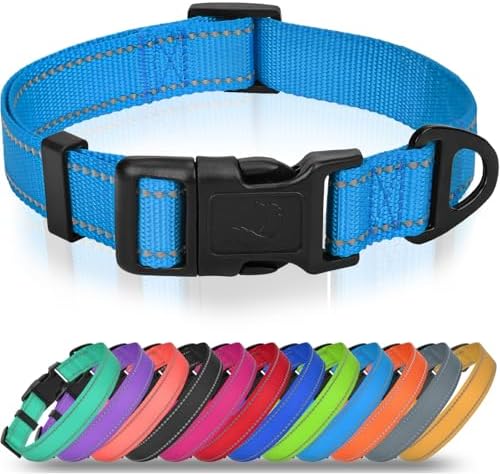Joytale Feather-Light Dog Collar for Extra Large Dogs, 1 1/4", Sky Blue