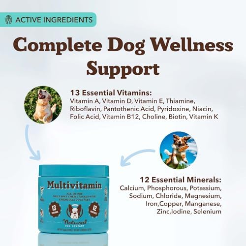 Natural Dog Company 25-in-1 Multivitamin for Dogs – Vet-Formulated Soft Chews for Puppies, Adults & Seniors, Supports Joints, Skin, Coat, Immune & Heart Health, NASC Certified, 180 Count
