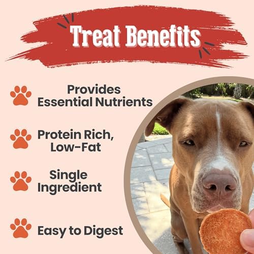 Farm To Pet Turkey Chips Dog Training Treats - Single Ingredient, 4oz