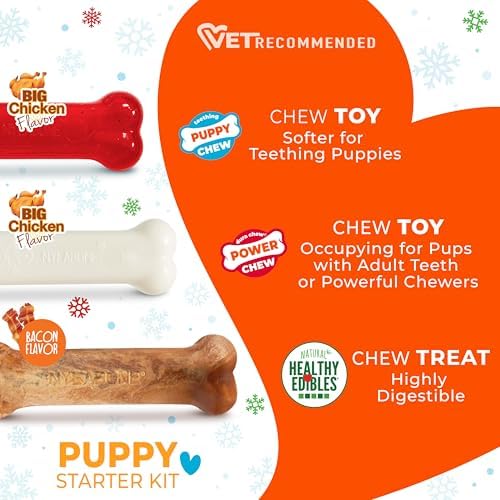 Nylabone Puppy Chew Holiday Puppy Starter Kit Dog Chew Toy, 3 Count | Dog toys for small dogs up to 25 lbs, chicken flavor puppy chew toys, bacon flavor chew treat, great for puppy teething