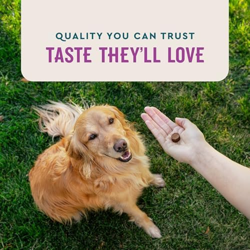 VetIQ Advanced Calming Support Chews for Dogs, 60-Pack, 60ct