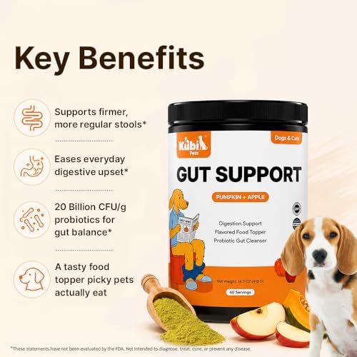 Pumpkin Gut Support for Dogs – Digestive Health Supplement with Natural Fiber & Probiotics, 60 Servings | Kubi Pets