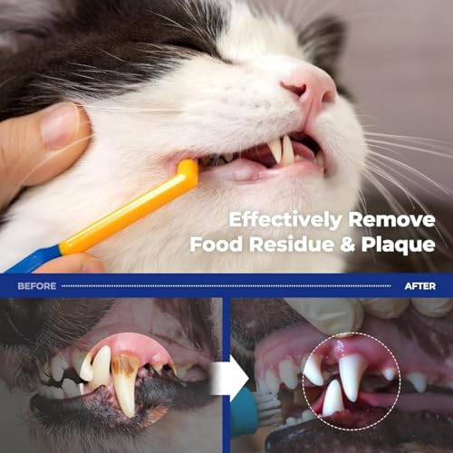 PETHROOM Dog & Cat Dental Kit for Deep Cleaning– Enzymatic Toothpaste & Precision Toothbrush (Rounded Head), Plaque & Tartar Control, EWG Verified, Fresh Breath, Sweet Potato Flavor, 2.1 oz