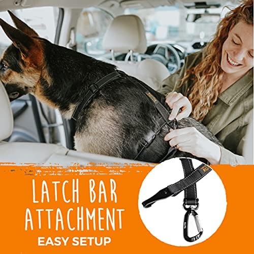 Mighty Paw Dog Seat Belt for Car - LATCH Compatible, Aviation Grade Aluminum
