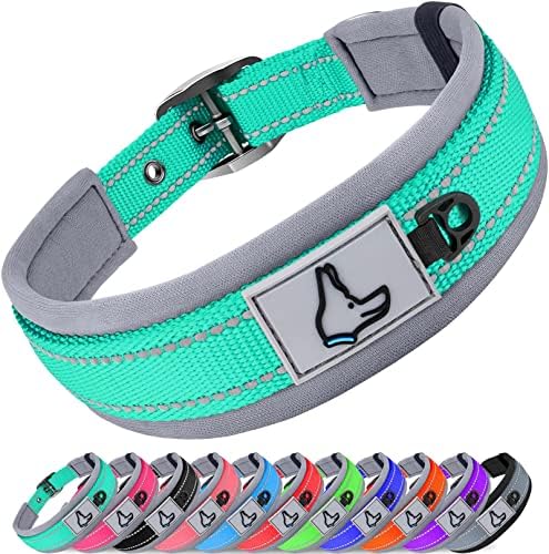Joytale Reflective Dog Collar for Small Dogs with Wide Padding, Teal