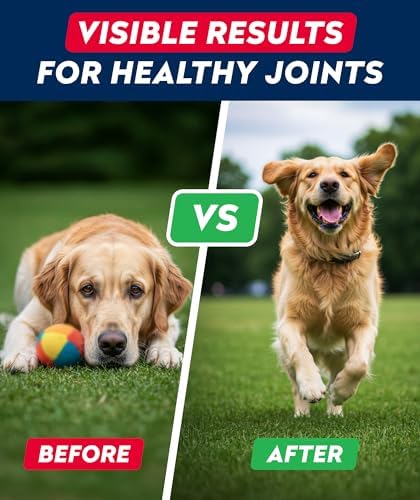 Glucosamine Treats for Dogs - Joint Supplement w/Omega-3 Fish Oil - Chondroitin, MSM - Advanced Mobility Chews - Joint Pain Relief - Hip & Joint Care - Bacon Flavor - 240 Ct - Made in USA