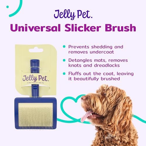 Jelly Pet Universal Slicker Brush for Dogs, Large, Purple