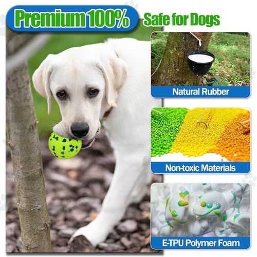 Indestructible Dog Balls for Aggressive Chewers, E-TPU Durable Fetch Balls for Large Medium Dogs, Outdoor Indoor, Pool Play, Puppy Birthday Gifts, (2.5 Inch, Pack of 3)