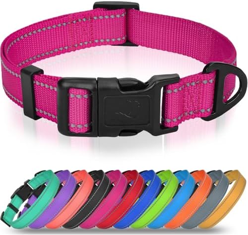 Joytale Feather-Light Dog Collar for Medium & Large Dogs, 1", Hotpink