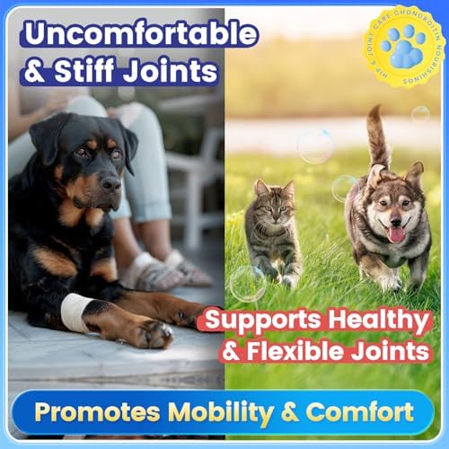 Glucosamine for Dogs, Hip & Joint Supplement for Dogs Cats, Glucosamine Chondroitin for Dog Supports Joint Health and Joint Pain Relief, Chicken Flavored for All Breeds and Sizes, 120 Tablets