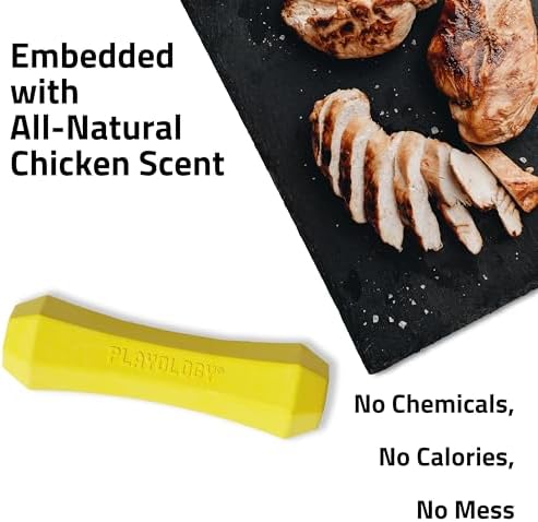 Playology Squeaky Chew Stick - Scented Dog Toy - Jumbo, Chicken Scent | Rubber Construction, All Natural Scent, Durable Design