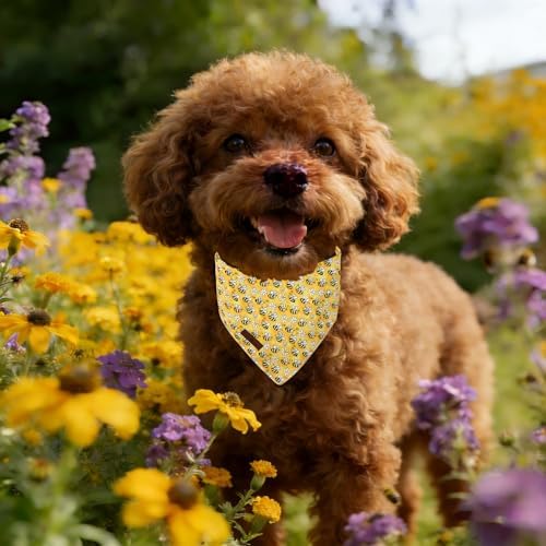 Lionet Paws Spring Summer Bee Dog Bandana Washable Cotton Handkerchief Scarf Triangle Yellow Bandana, Small (Pack of 1), Small, Yellow