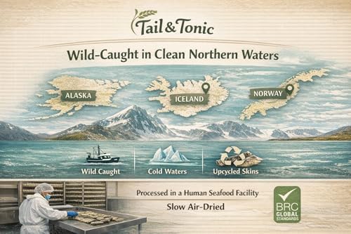 TAIL & TONIC Salmon Skin Dog Treats - Single Ingredient Dog Treats, Air-Dried Chewy Fish Skins for Dogs, High Protein, Omega-3 Rich Dental Chews, Twist