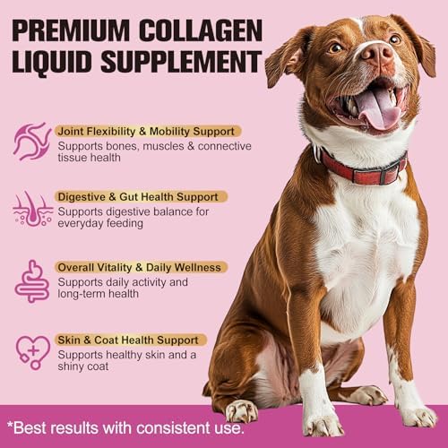 Liquid Collagen for Dogs & Cats – Grass-Fed Hydrolyzed – Supports Joints, Skin, Coat & Daily Wellness