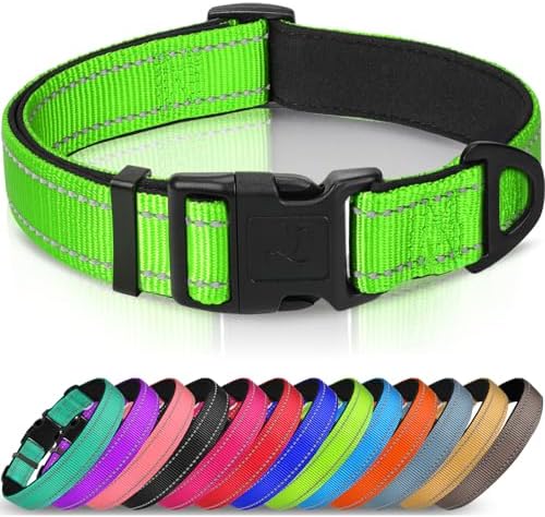 Joytale Reflective Dog Collar, Adjustable Neoprene Padded, Green S