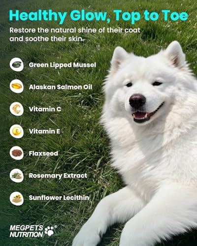 NAD+ Glucosamine for Dogs Hip and Joint Supplement-300 Soft Chews