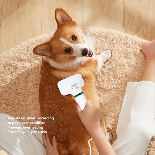 Pet Hair Dryer, 2 in 1 Multifunctional Dog Hair Dryer with Slicker Brush, Adjustable Air Speed Dog Blow Dryer Pet Grooming Hair Dryer for Small and Medium Dogs Cats to Use