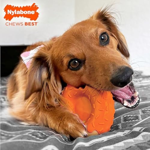 Nylabone Power Chew Novelty Donut Durable Dog Chew Toy, Large | Pumpkin and peanut butter flavor, teeth-cleaning textures, discourages destructive chewing, for large dogs up to 50 lbs