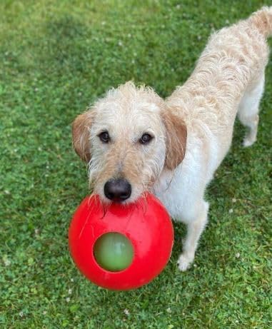 Jolly Pets Teaser Ball Interactive Dog Toy, 4.5 in Small, Red | Ball-within-a-ball puzzle toy that floats - add peanut butter to the inner ball for extra fun