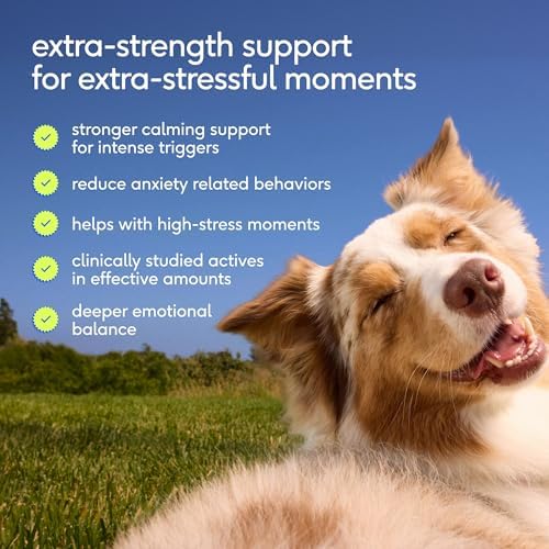 Native Pet Advanced Calming Chews for Dogs, Melatonin, Valerian, 60 Chews