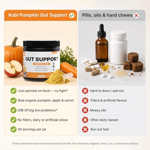 Pumpkin Gut Support for Dogs – Digestive Health Supplement with Natural Fiber & Probiotics, 30 Servings | Kubi Pets (30)