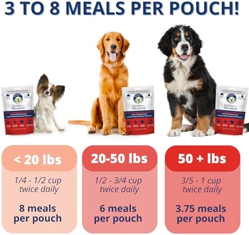 Under the Weather Bland Diet for Dogs | Easy to Digest Stomach Support for Sick Dogs | Contains Electrolytes, All Natural | 6 Pack - Turkey, Oatmeal, Sweet Potato & Slippery Elm - 6oz